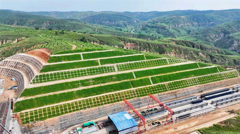 女人与公狍交酡女免费