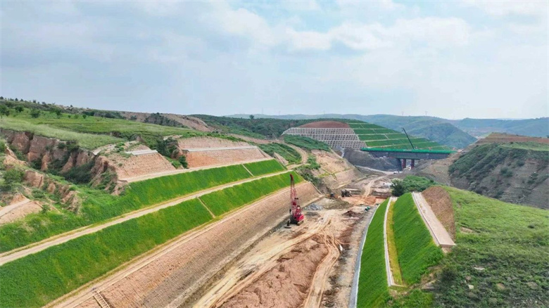 女人与公狍交酡女免费