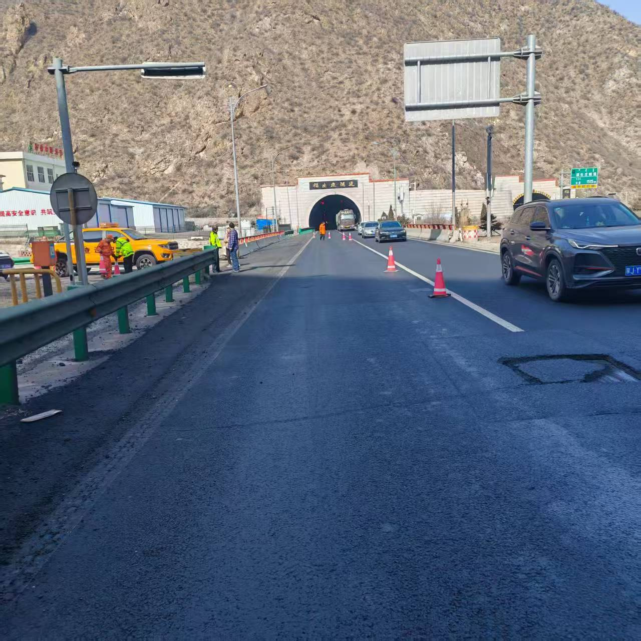 女人与公狍交酡女免费