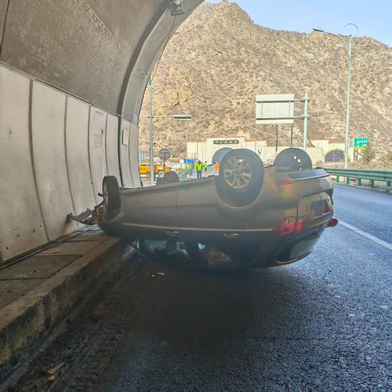 女人与公狍交酡女免费