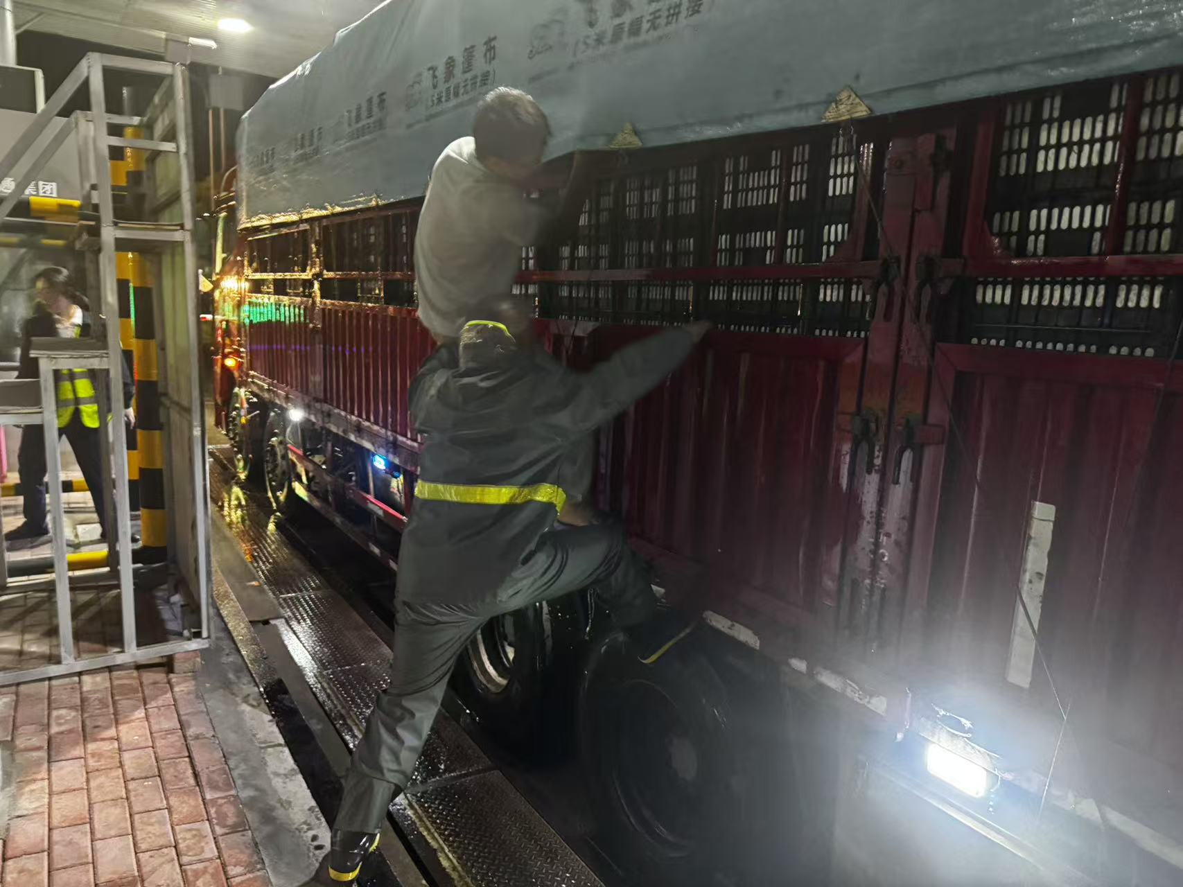 女人与公狍交酡女免费