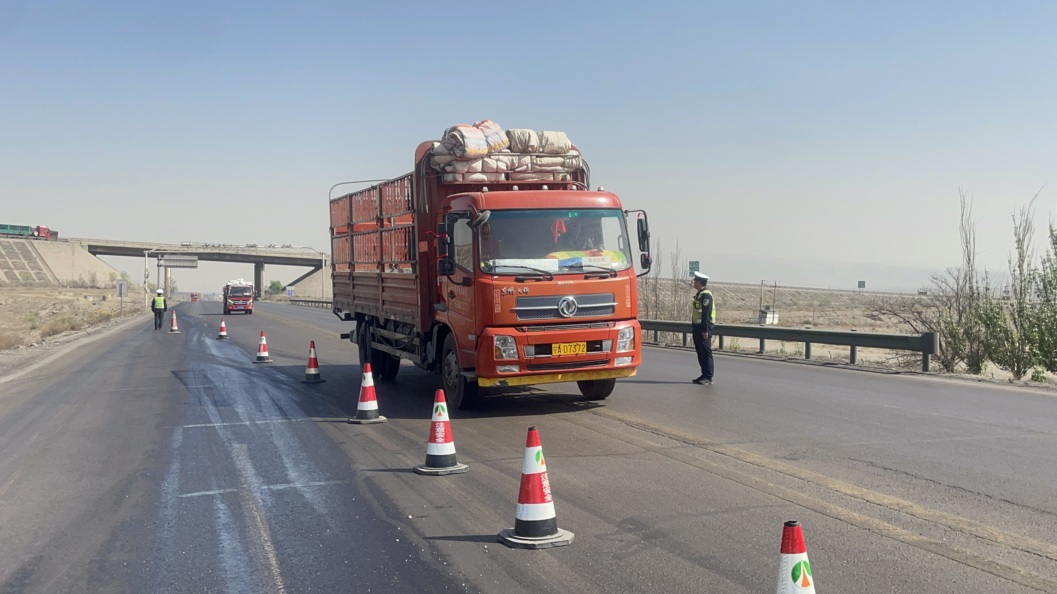 女人与公狍交酡女免费