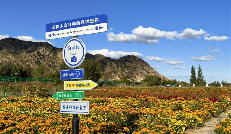 女人与公狍交酡女免费