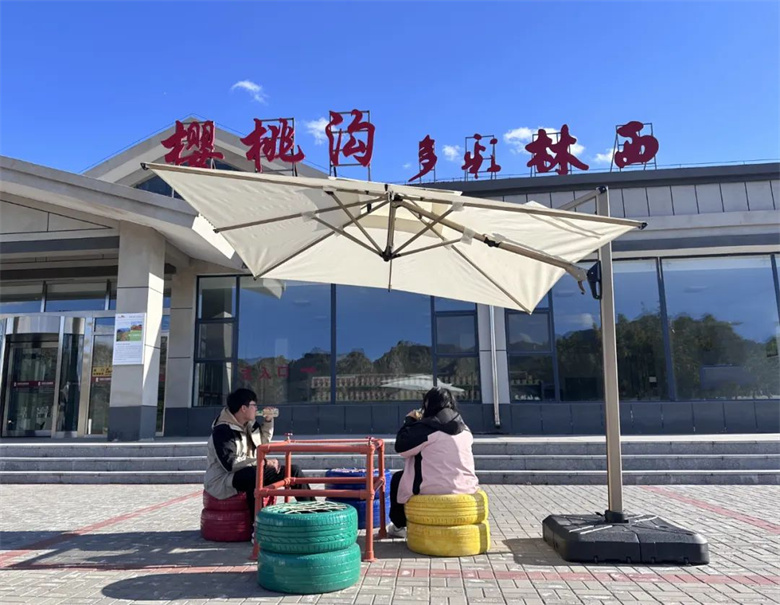 女人与公狍交酡女免费