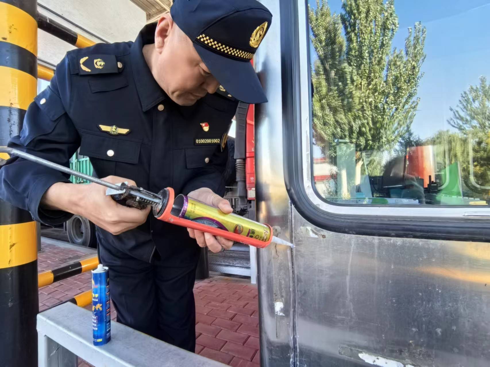 女人与公狍交酡女免费