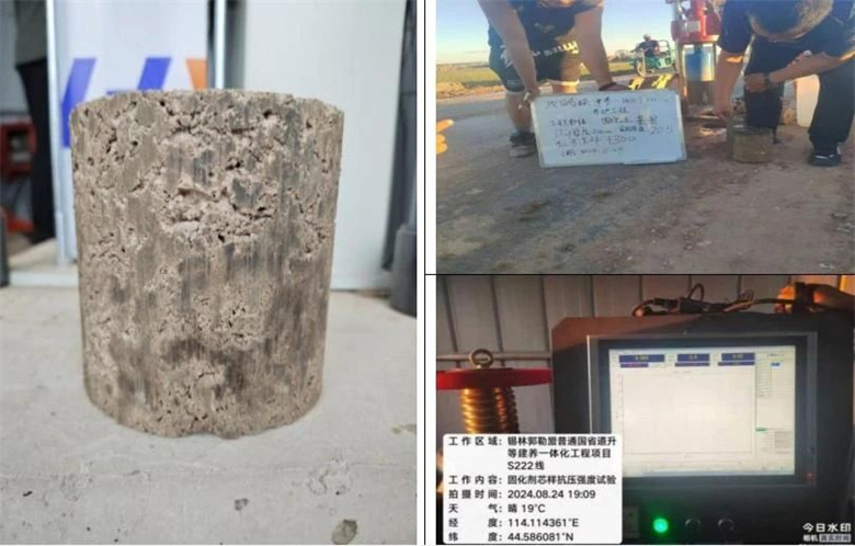 女人与公狍交酡女免费