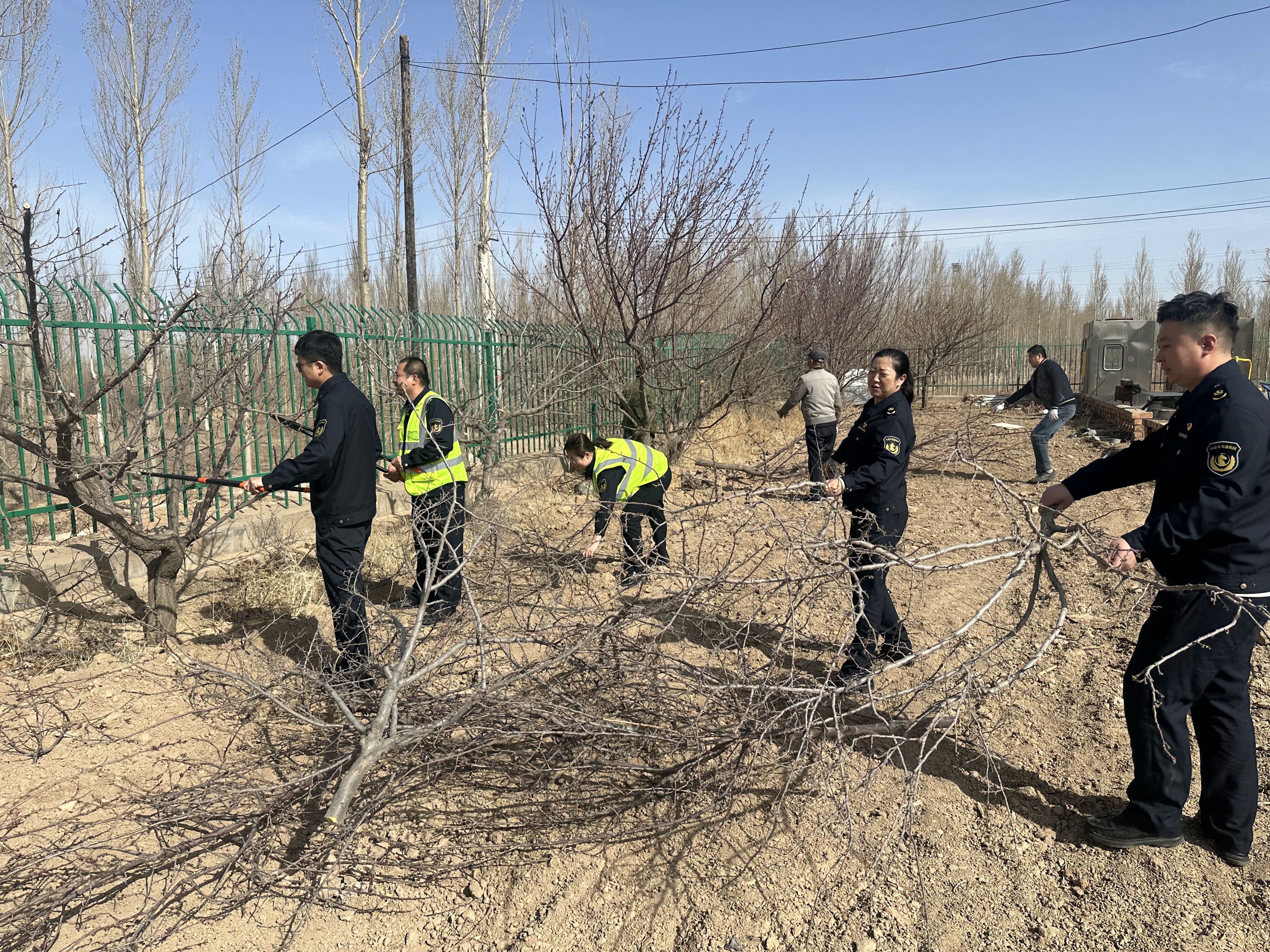 女人与公狍交酡女免费