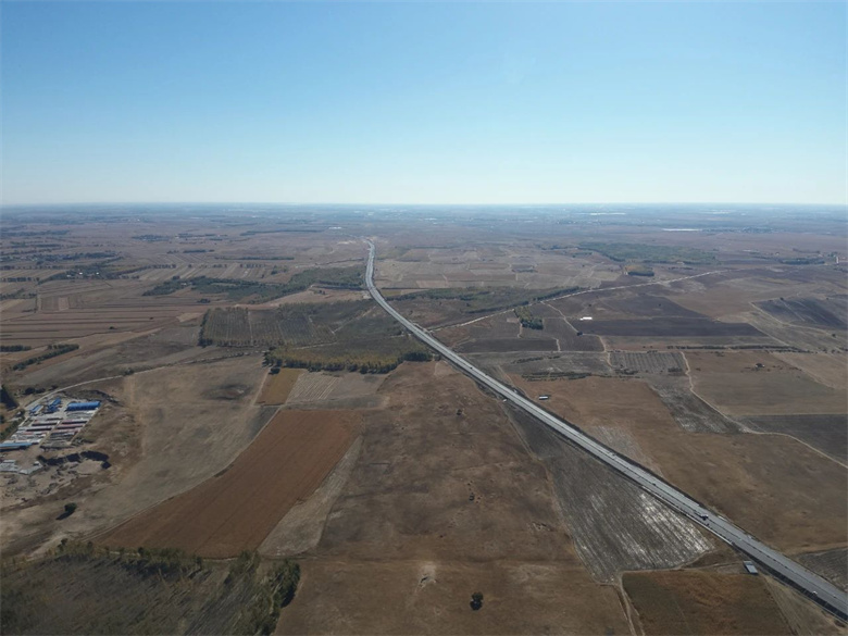 女人与公狍交酡女免费