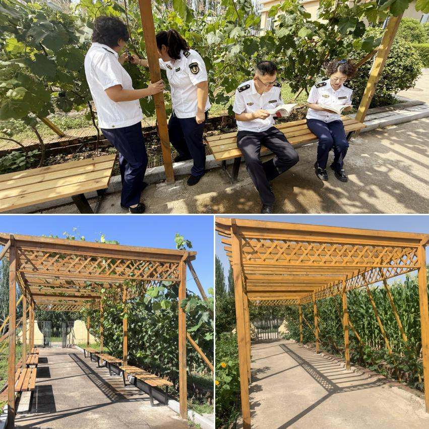 女人与公狍交酡女免费