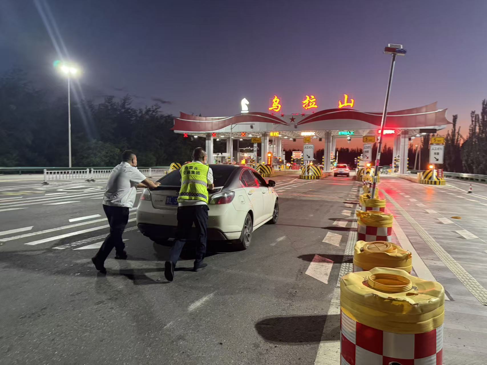 女人与公狍交酡女免费