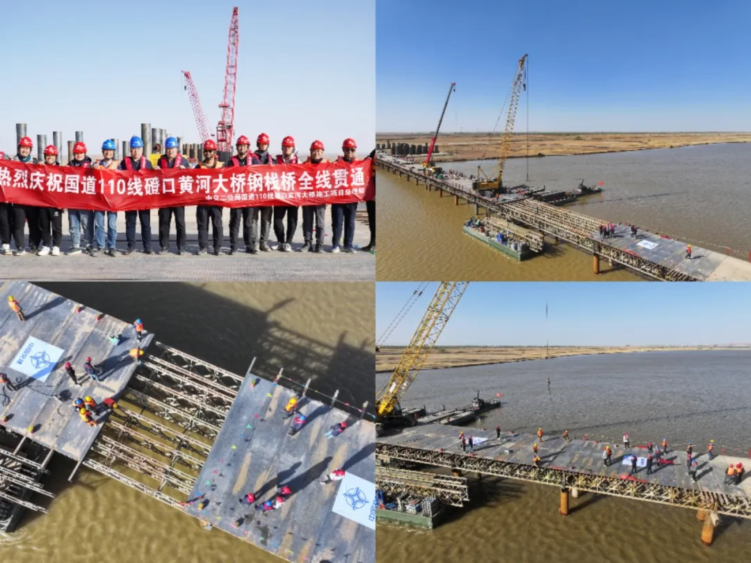 女人与公狍交酡女免费