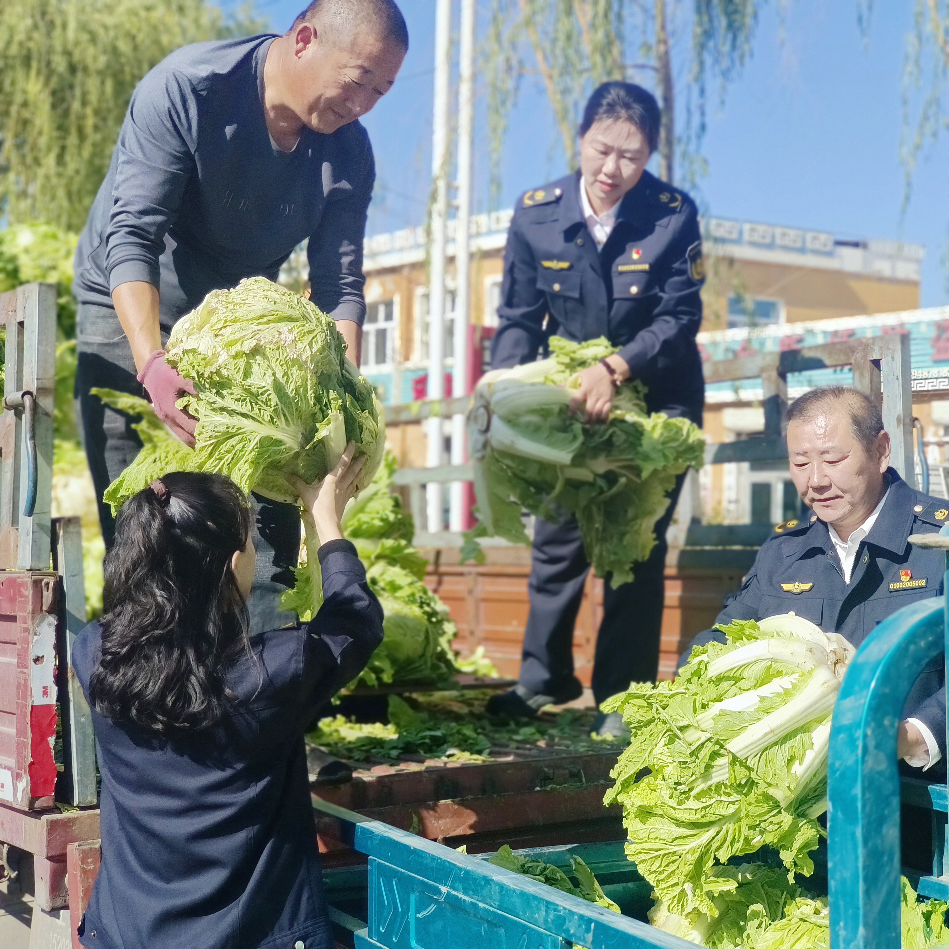 女人与公狍交酡女免费