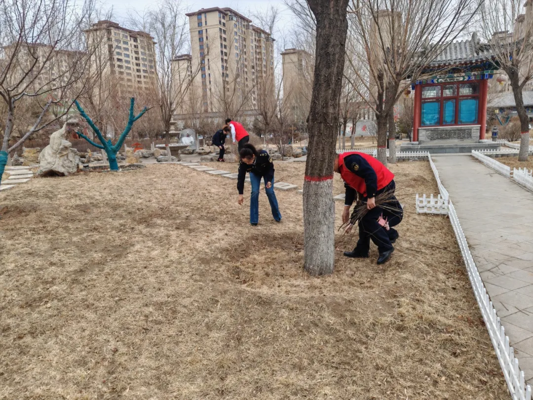 女人与公狍交酡女免费