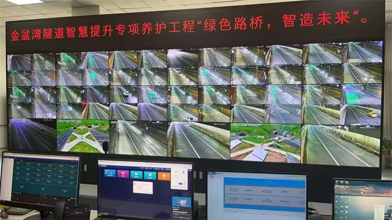 女人与公狍交酡女免费