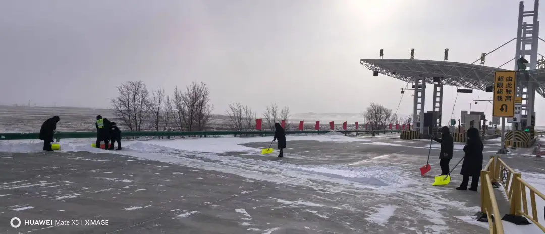 女人与公狍交酡女免费