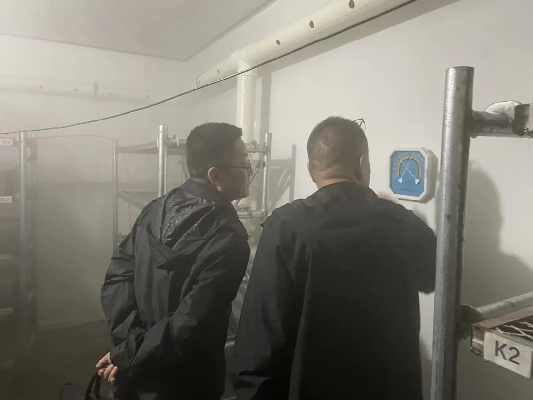 女人与公狍交酡女免费