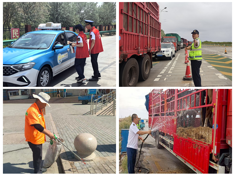 女人与公狍交酡女免费