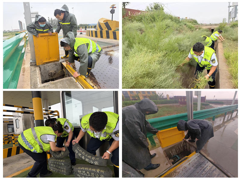 女人与公狍交酡女免费