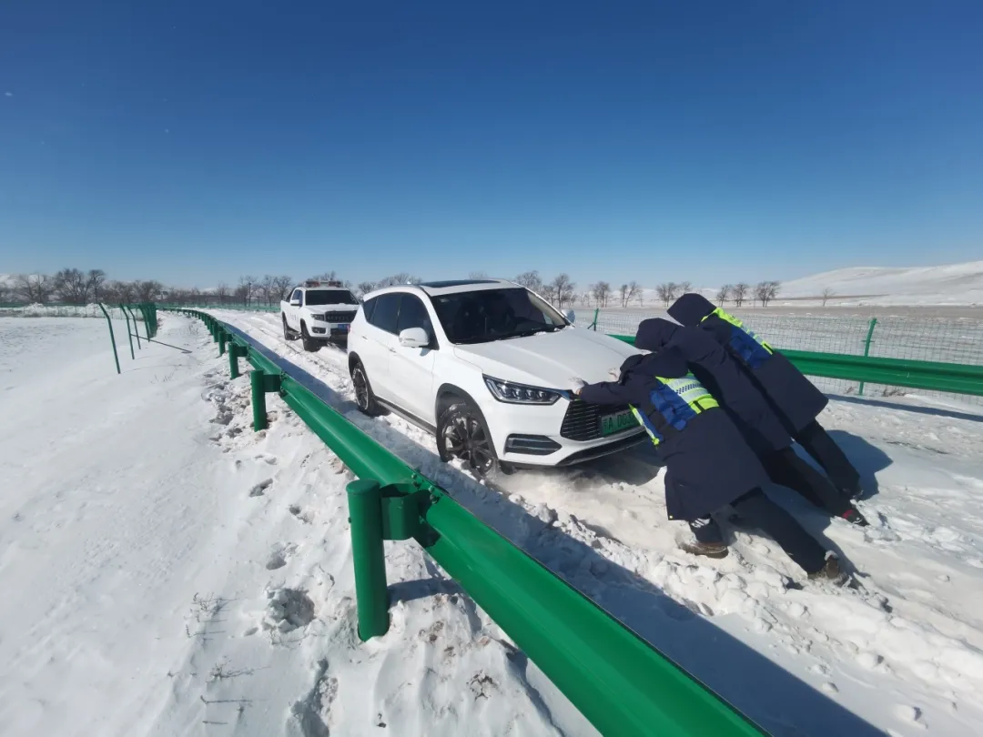 女人与公狍交酡女免费