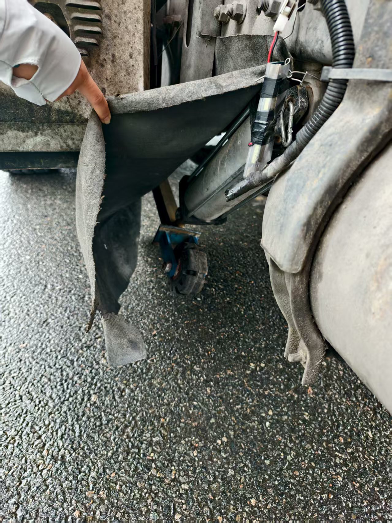 女人与公狍交酡女免费