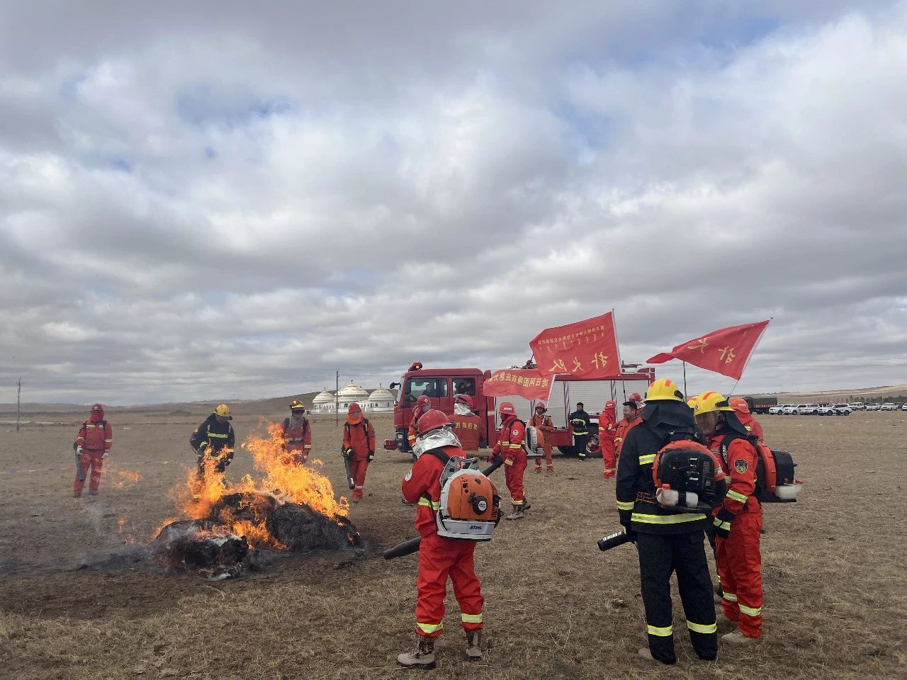 女人与公狍交酡女免费