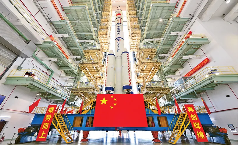 女人与公狍交酡女免费