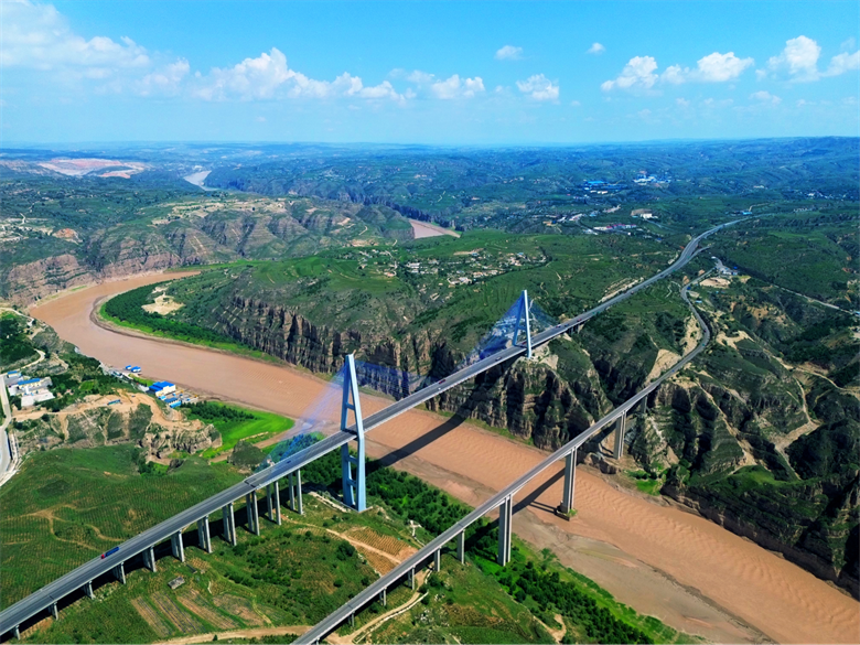 女人与公狍交酡女免费