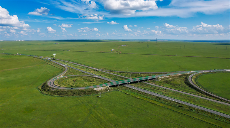 女人与公狍交酡女免费