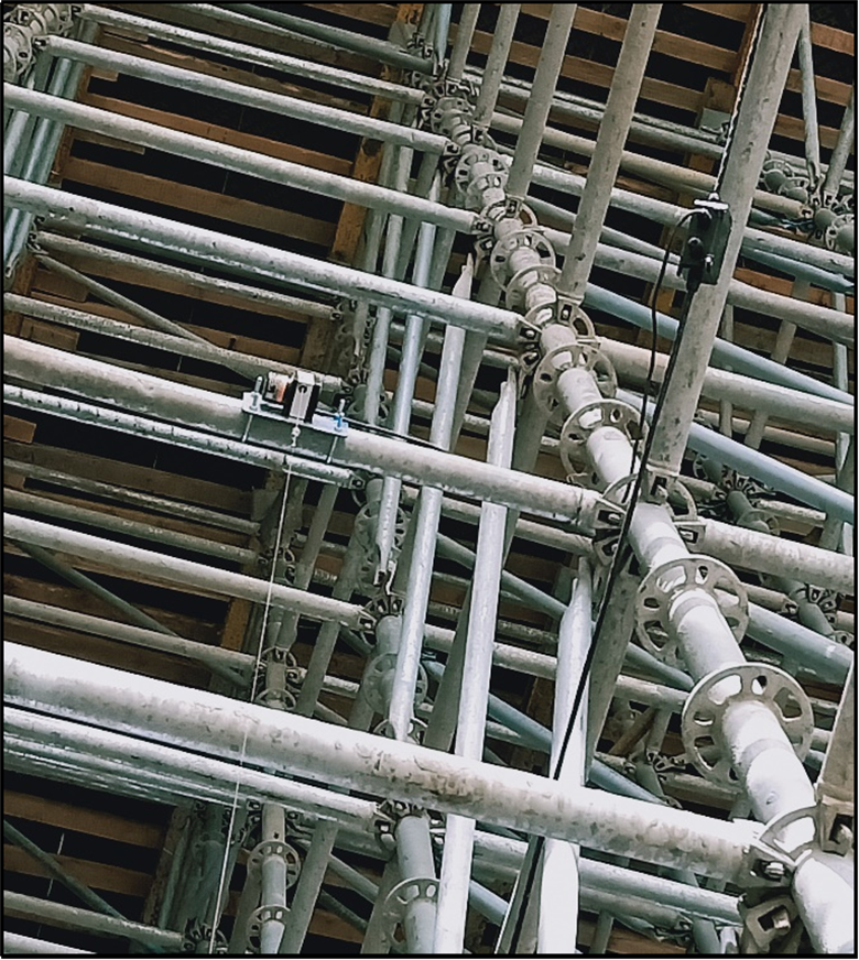 女人与公狍交酡女免费