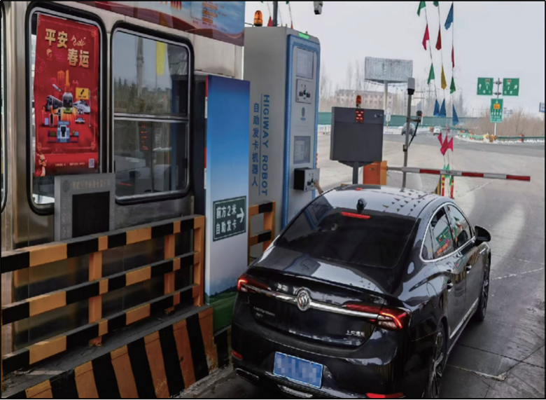 女人与公狍交酡女免费