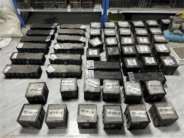 女人与公狍交酡女免费