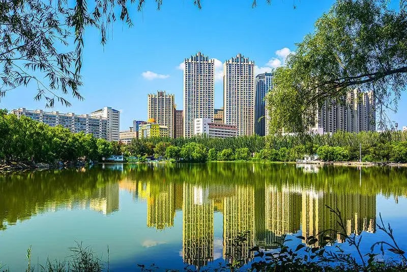 女人与公狍交酡女免费