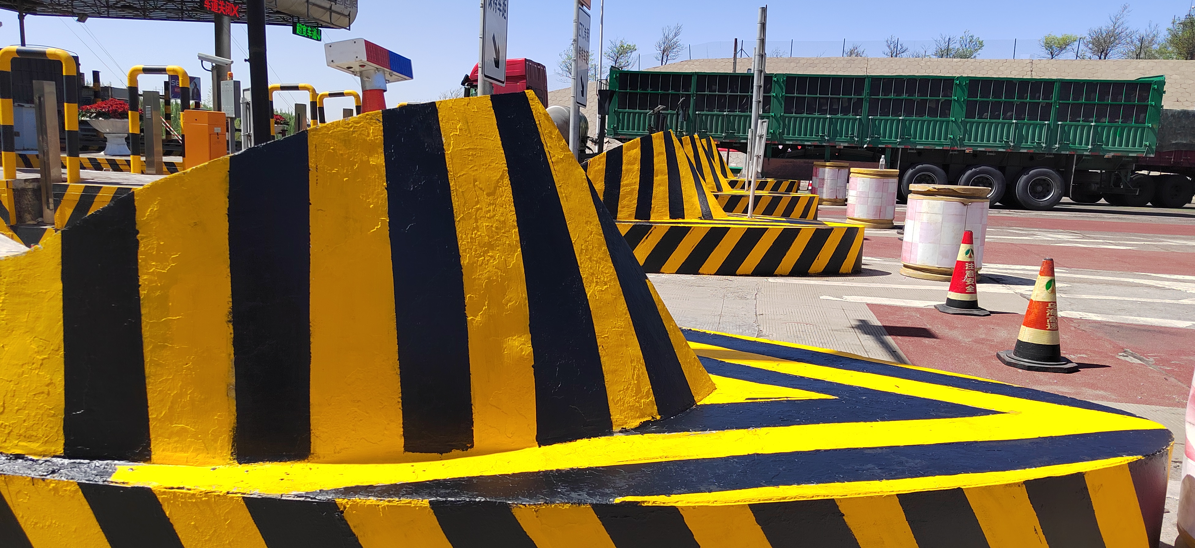 女人与公狍交酡女免费