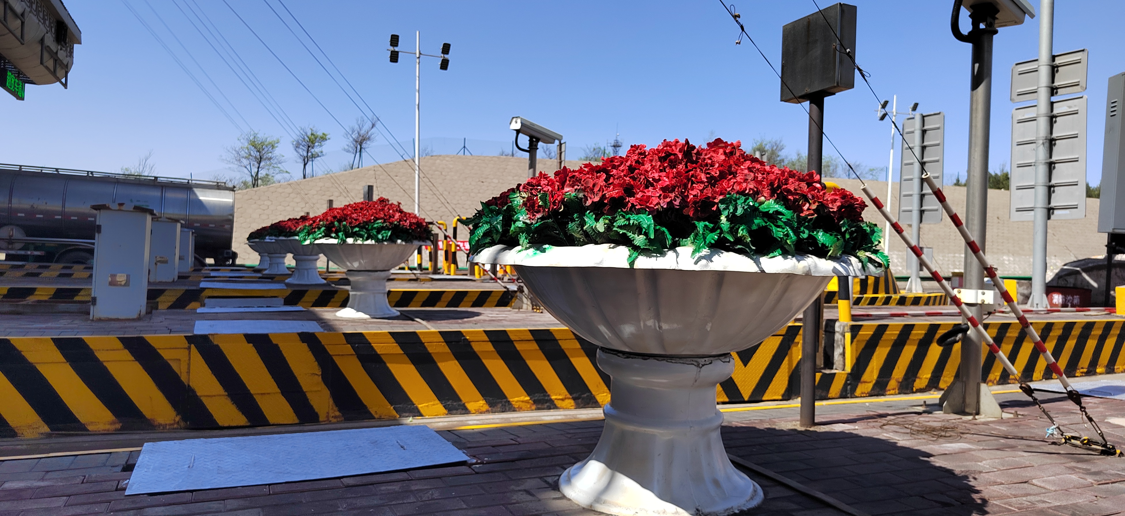 女人与公狍交酡女免费