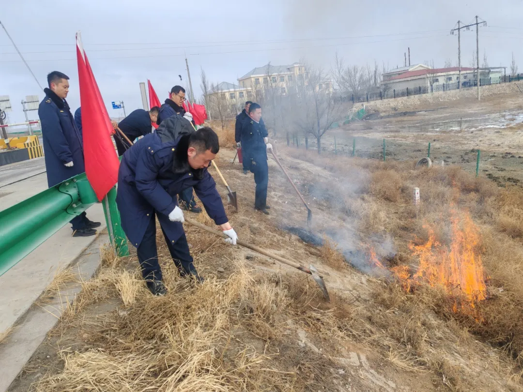 女人与公狍交酡女免费