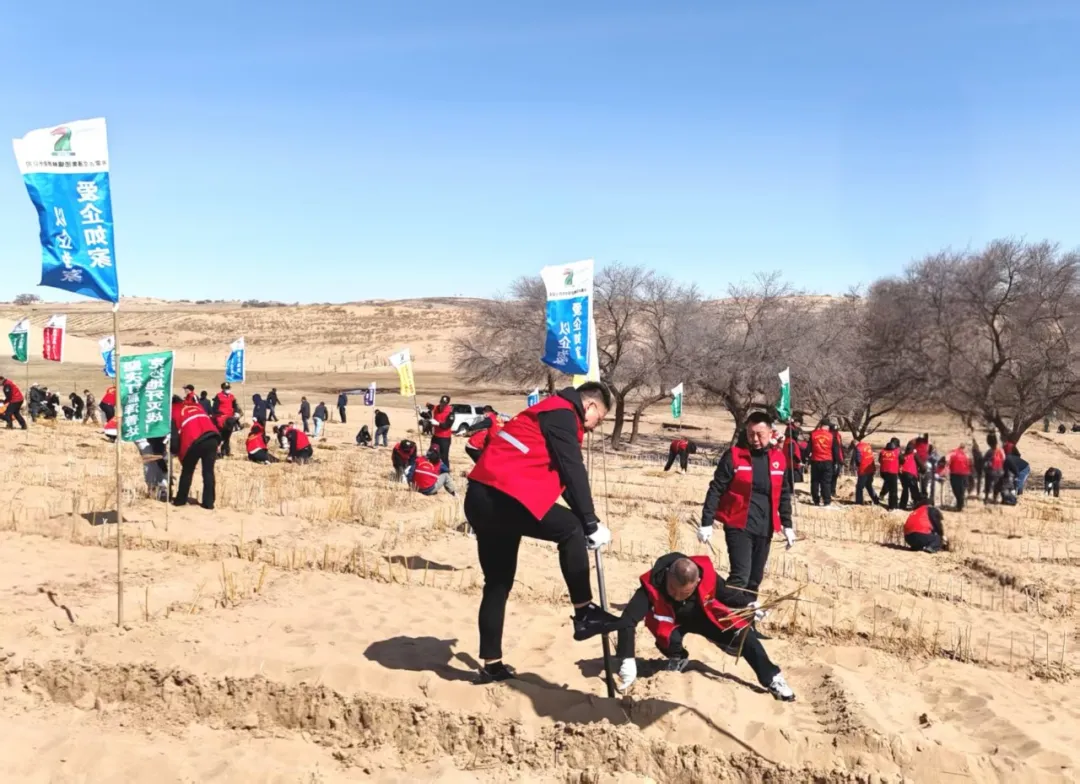 女人与公狍交酡女免费