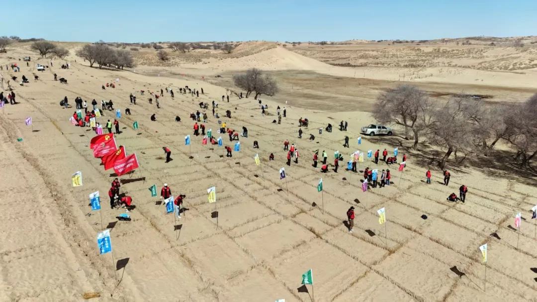 女人与公狍交酡女免费