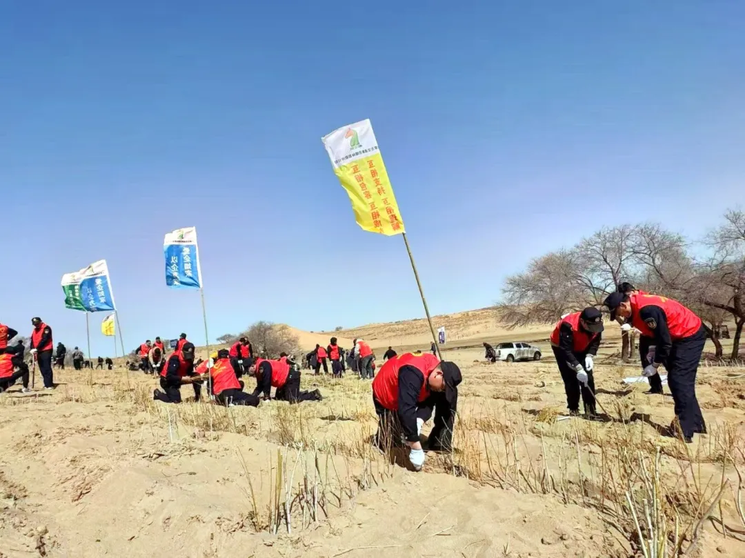 女人与公狍交酡女免费