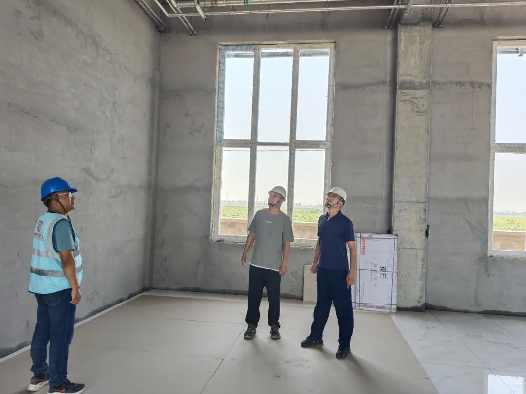 女人与公狍交酡女免费