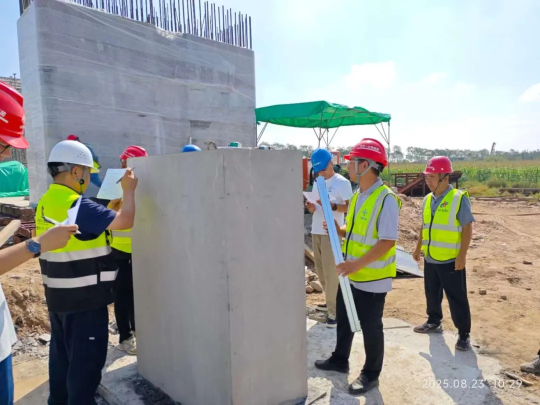 女人与公狍交酡女免费