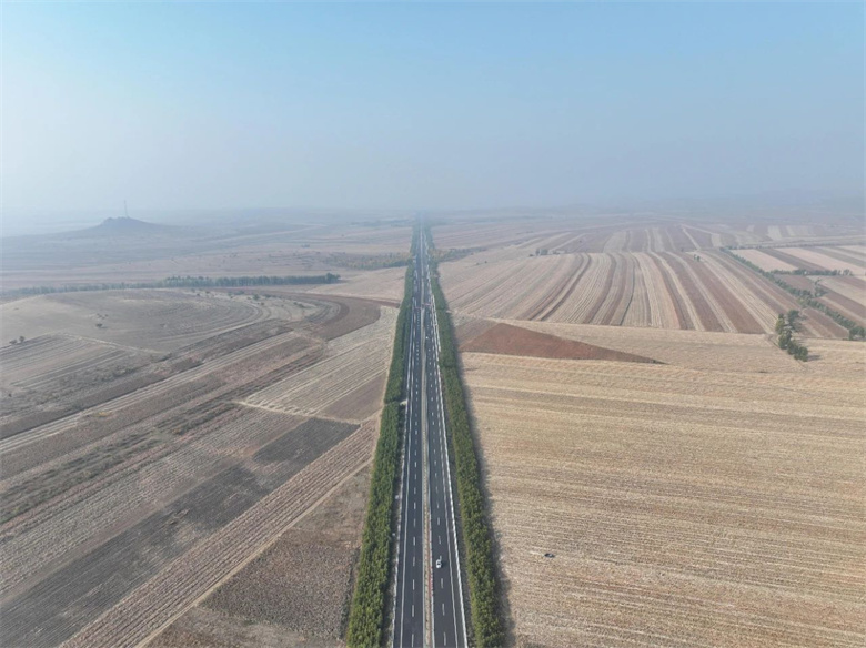 女人与公狍交酡女免费