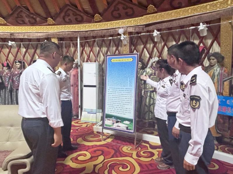 女人与公狍交酡女免费