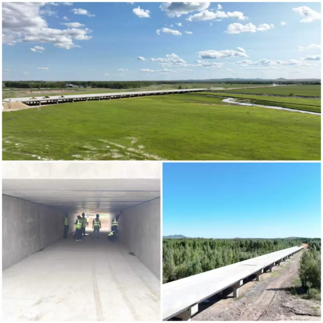 女人与公狍交酡女免费