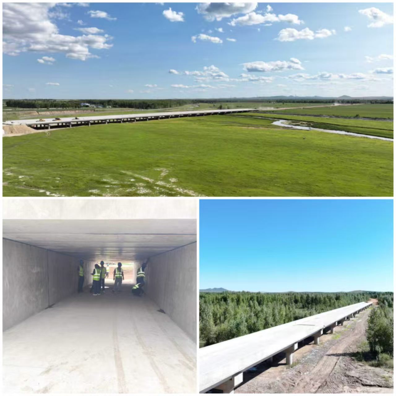 女人与公狍交酡女免费