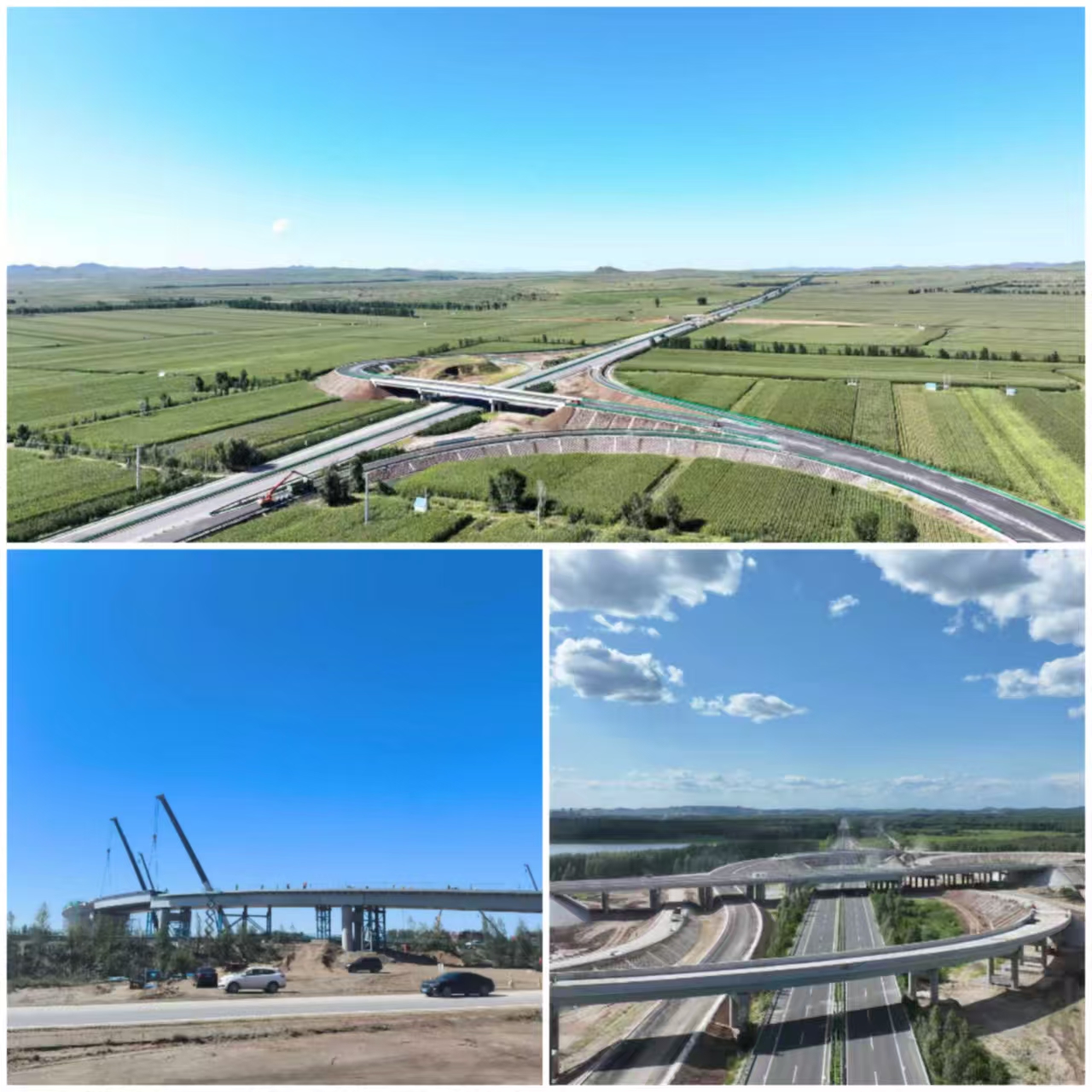 女人与公狍交酡女免费