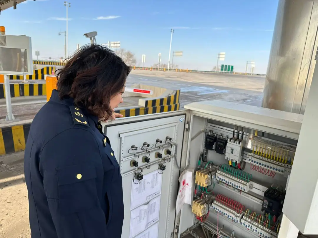 女人与公狍交酡女免费