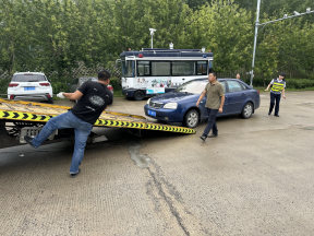 女人与公狍交酡女免费