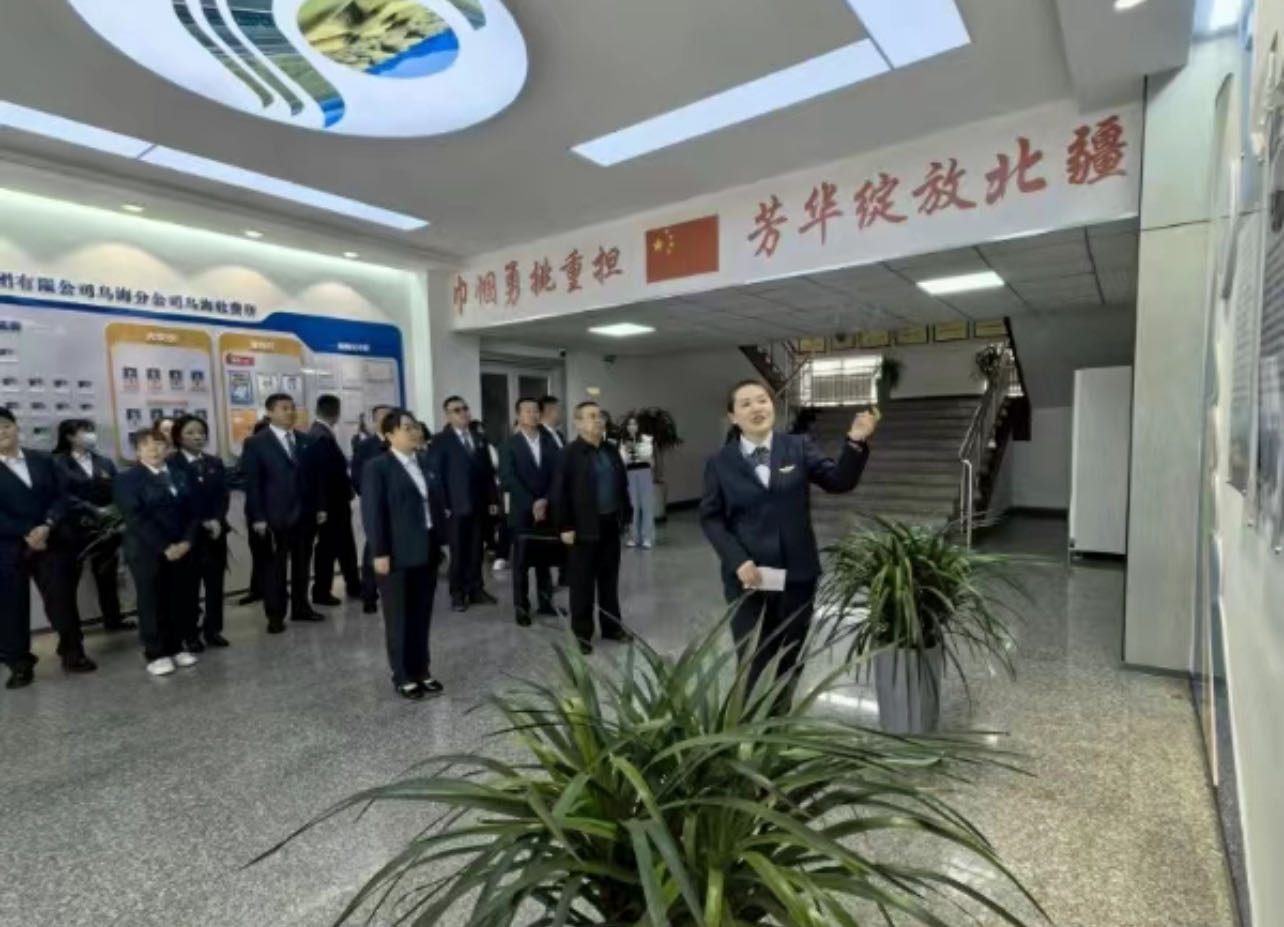 女人与公狍交酡女免费