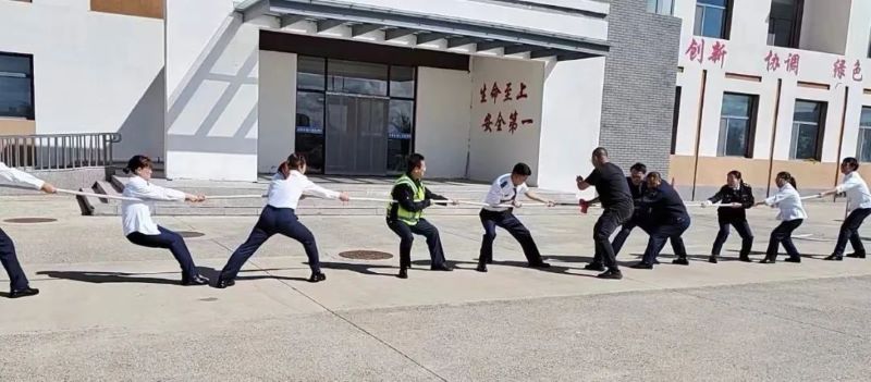 女人与公狍交酡女免费