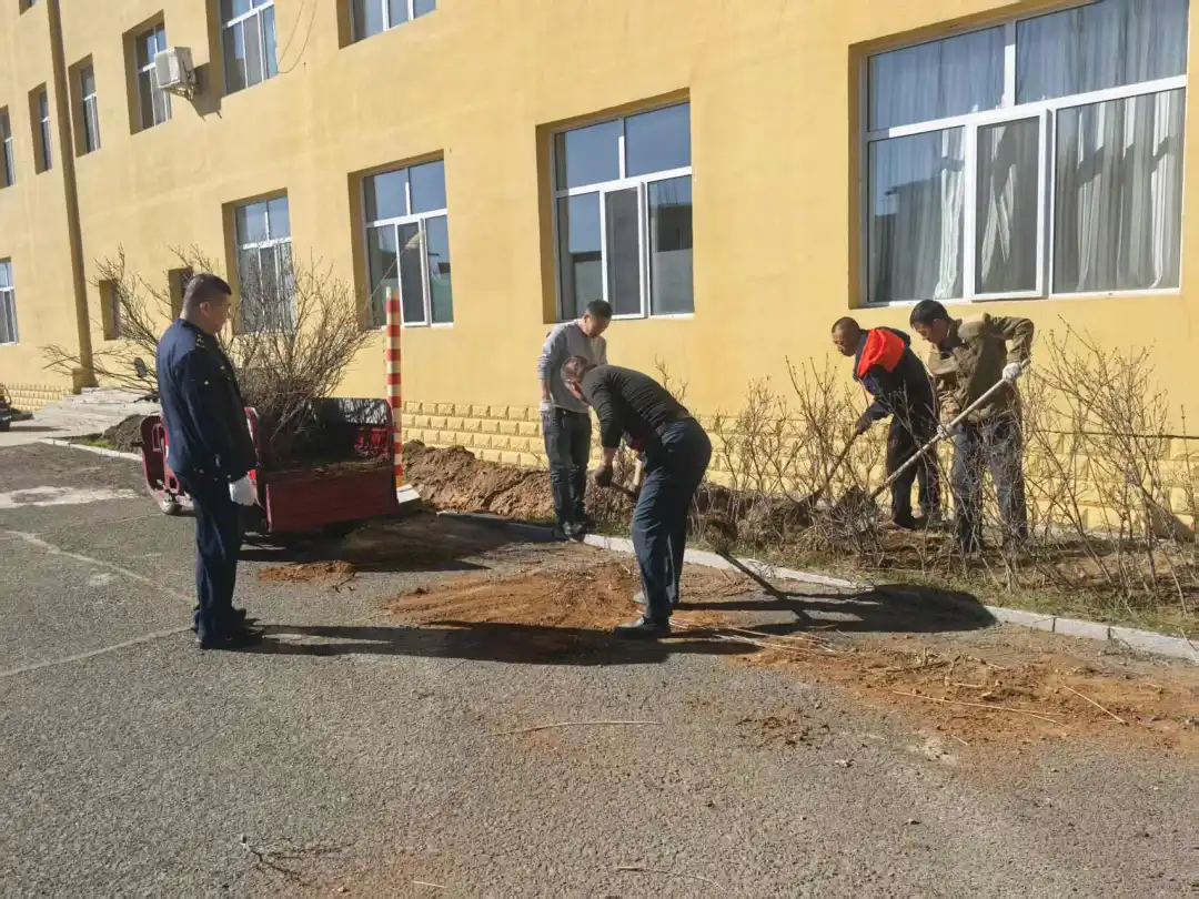 女人与公狍交酡女免费